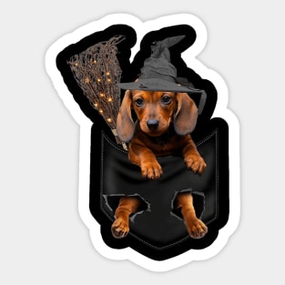 Dachshund halloween pocket t shirt Funny dachshund inside Sticker